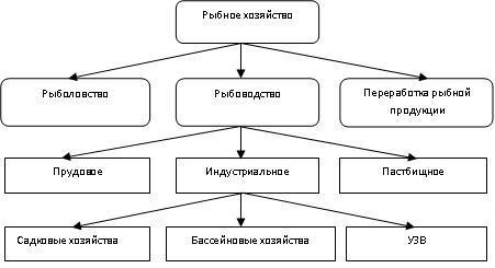 рис 1.JPG