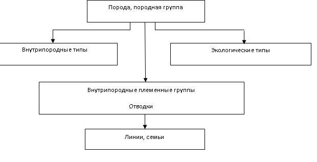рис 8.JPG