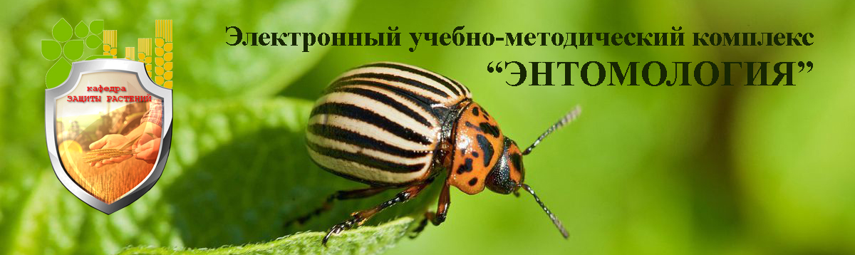 ��������: E:\���� - �����������, ��������� - 2024\img\name.jpg